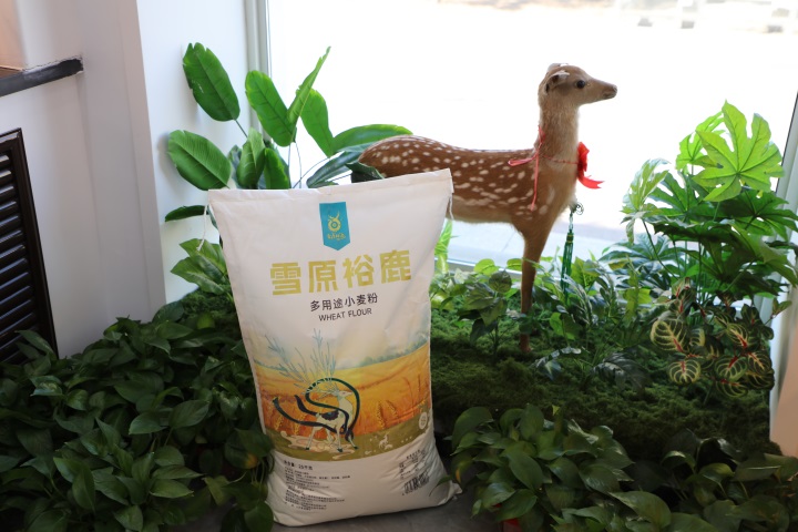 面粉